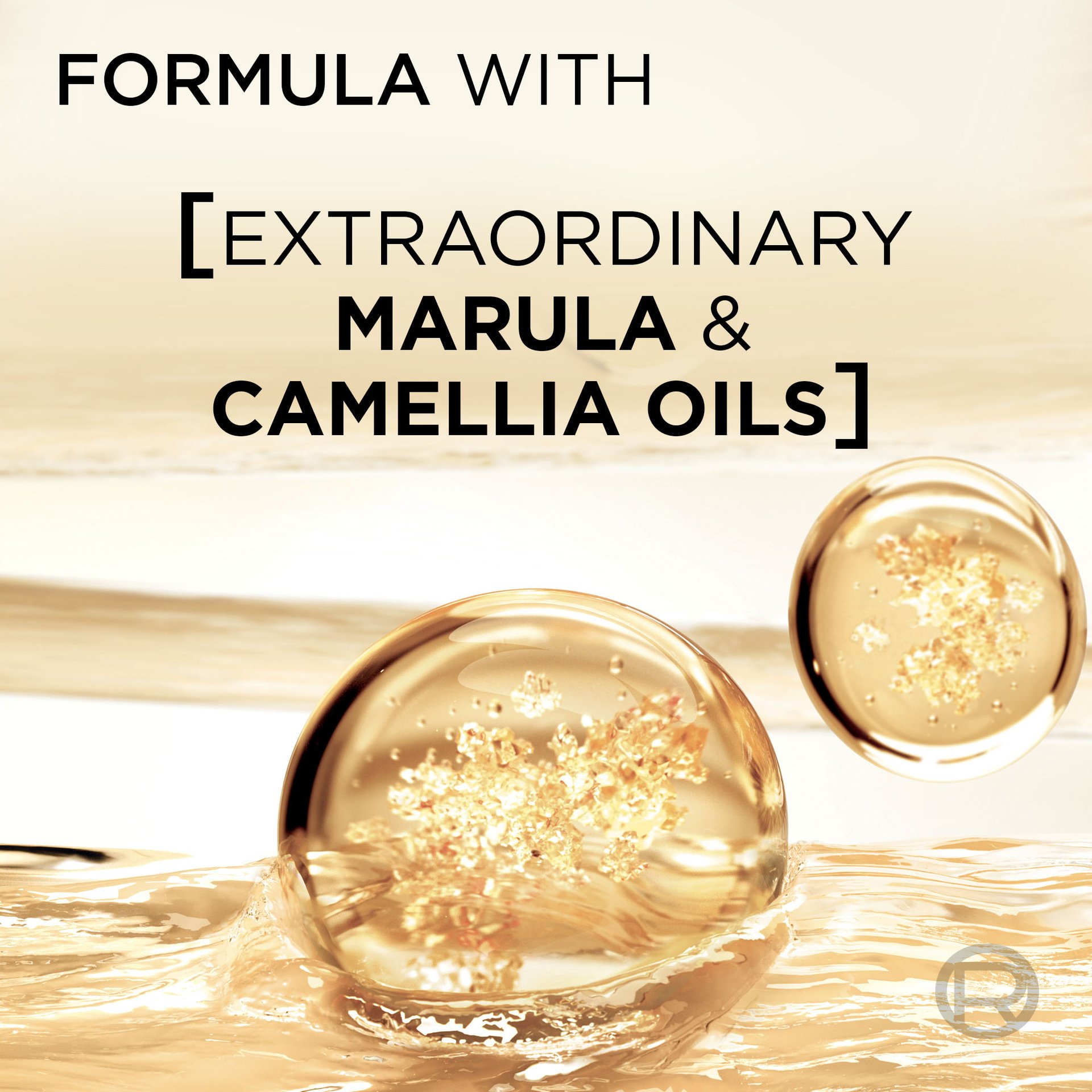Molecule of extraordinary marula and camellia oils
